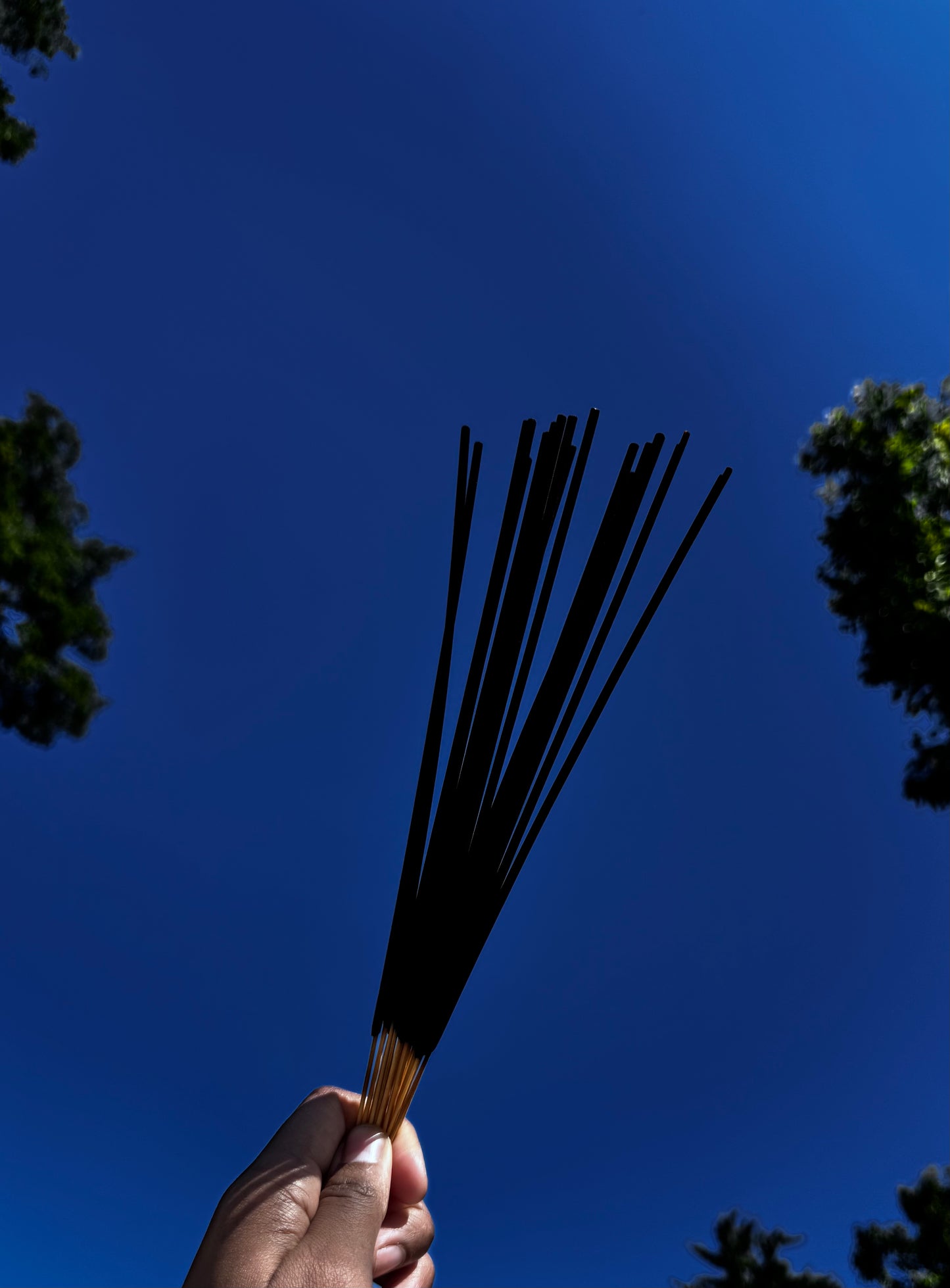 Sunday Morning Incense (20)