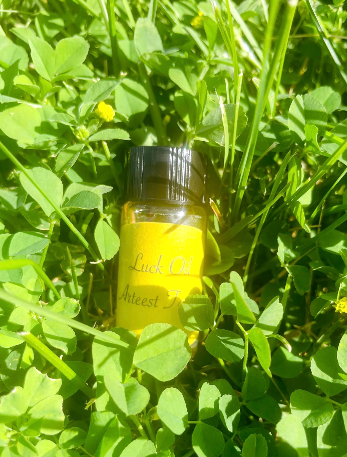 10ml Manifestation Oils